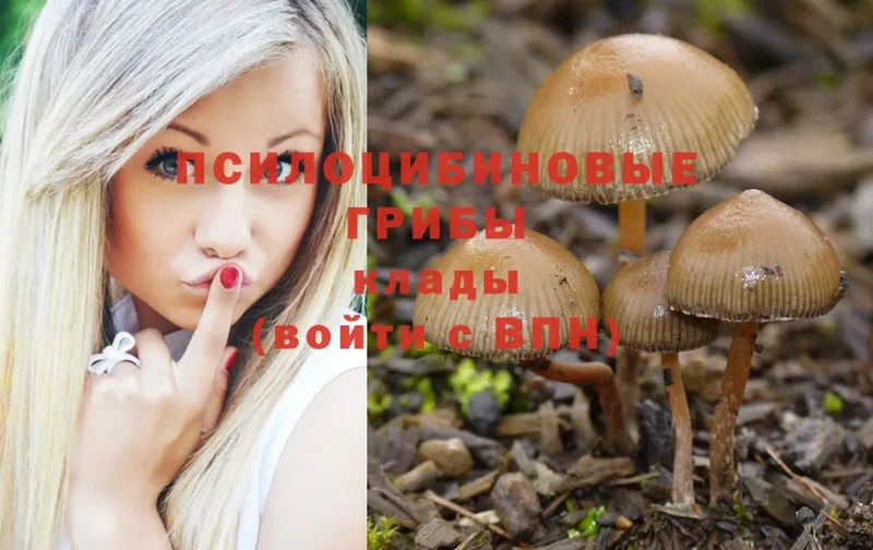 Псилоцибиновые грибы Magic Shrooms  купить   Лагань 